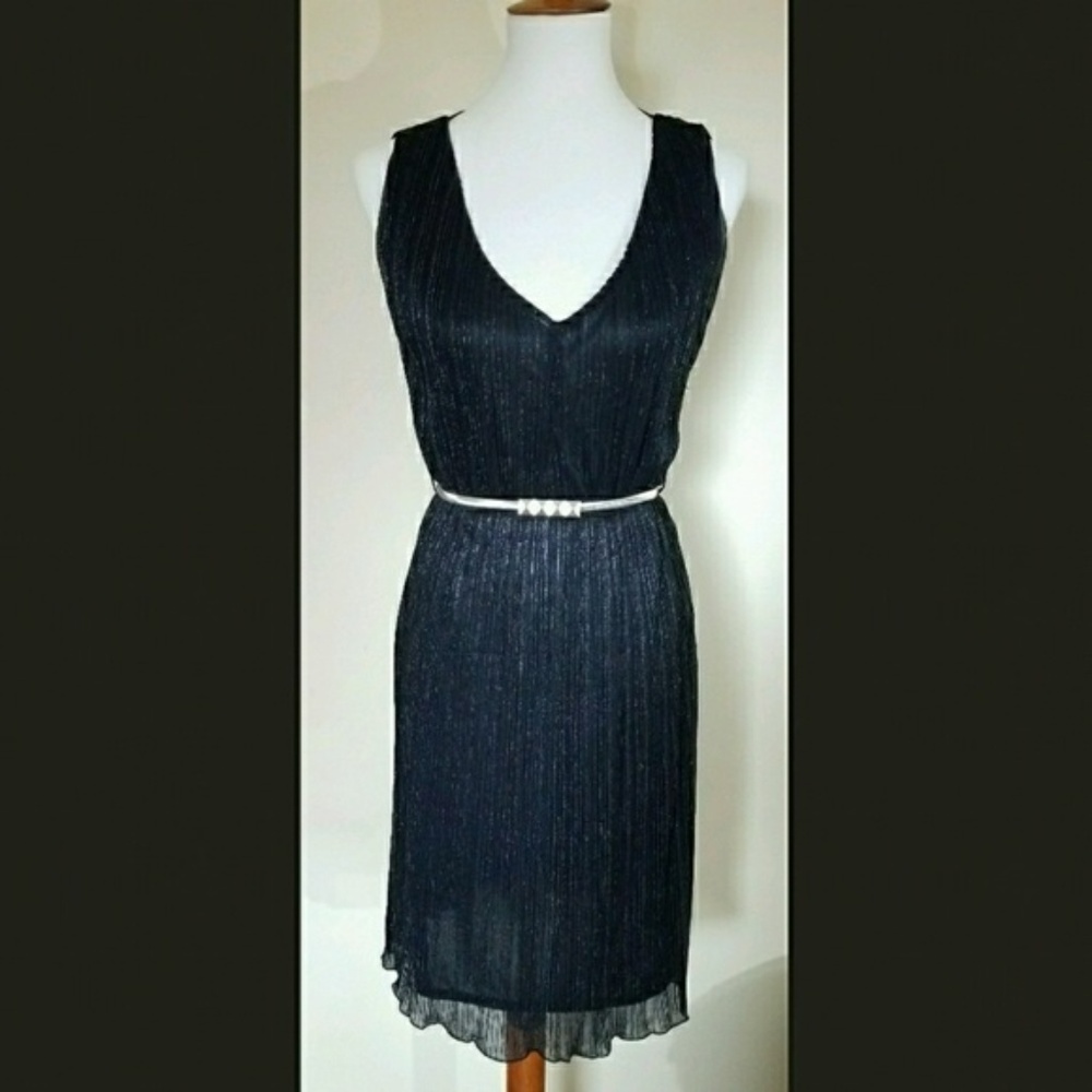 NWOT! Worthington Shimmery Dress with Belt